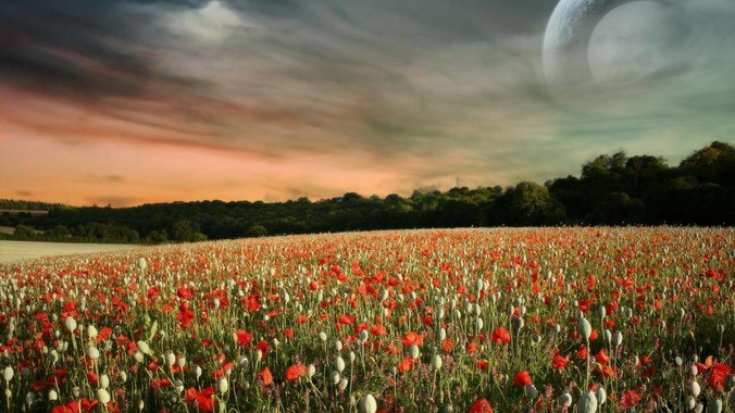 为什么女生要做大部分家务？